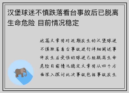 汉堡球迷不慎跌落看台事故后已脱离生命危险 目前情况稳定